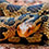 Eastern Fox Snake