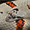 Gray Banded Kingsnake