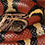 Louisiana Milk Snake