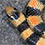 Variable Kingsnake