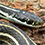 Western Ribbon Snake