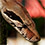 Common Boa