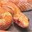 Creamsicle Corn Snake